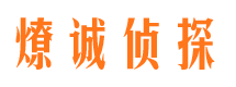 临泽资产调查